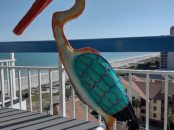 Bird says "AMAZING VIEW"