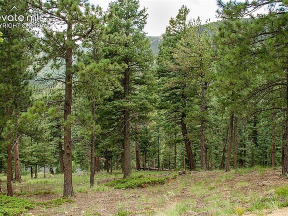 3rd image of 266 Aspen Ridge Rd
