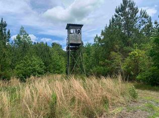 Aimwell Rd, Andrews, SC 29510