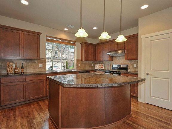 Large chef kitchen