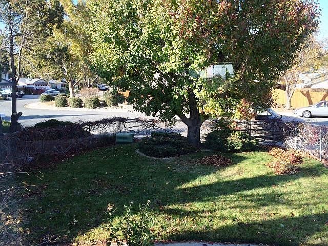 2nd image of 965 Emerson Way