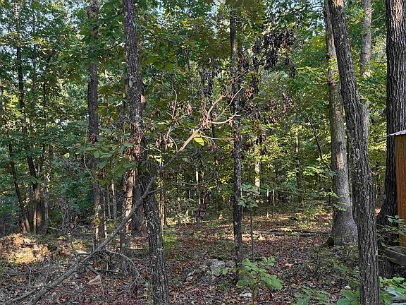 4th image of 248 Acres Rd