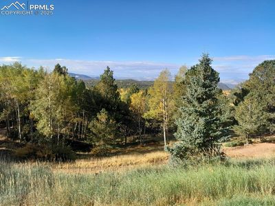 578 Crystal Dr, Cripple Creek, CO, 80813