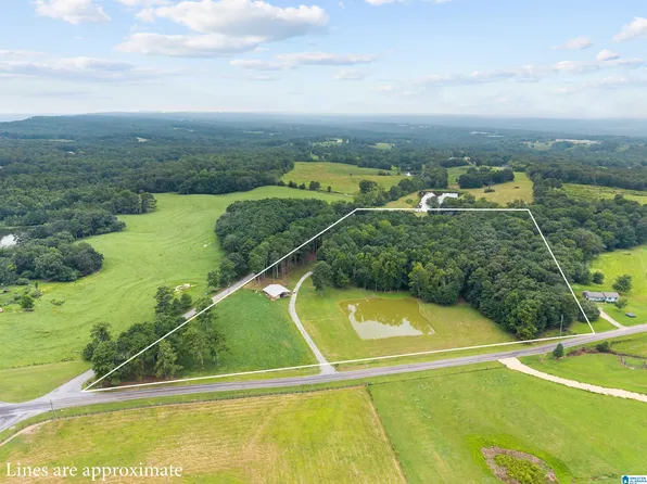 9869 County Highway 24, Oneonta, AL 35121