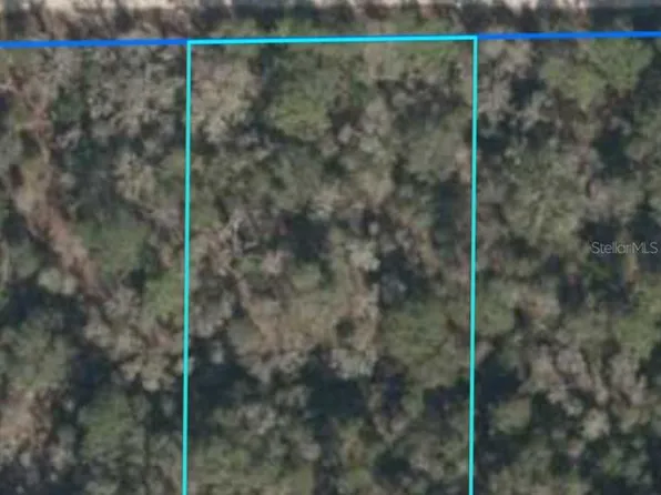 NE 88th Ln, Bronson, FL 32621