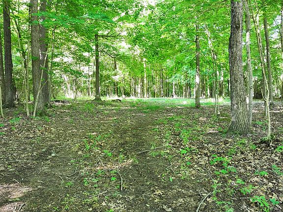 2nd image of 0 Mishey Rd