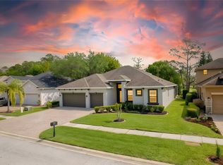 13030 Eagles Entry Dr, Odessa, FL 33556