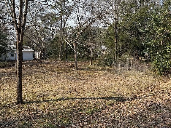 5th image of LOT 5&6 Pecan St