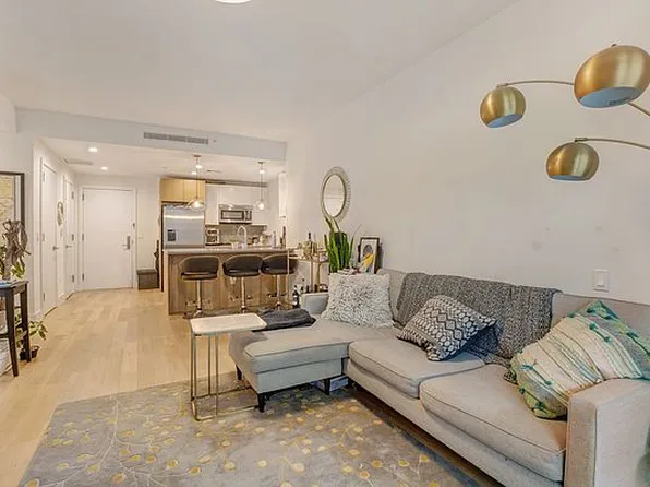 264 Webster Ave #311, Brooklyn, NY 11230