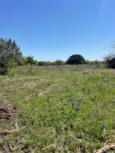3 E Lumpkin St, Meridian, TX, 76665
