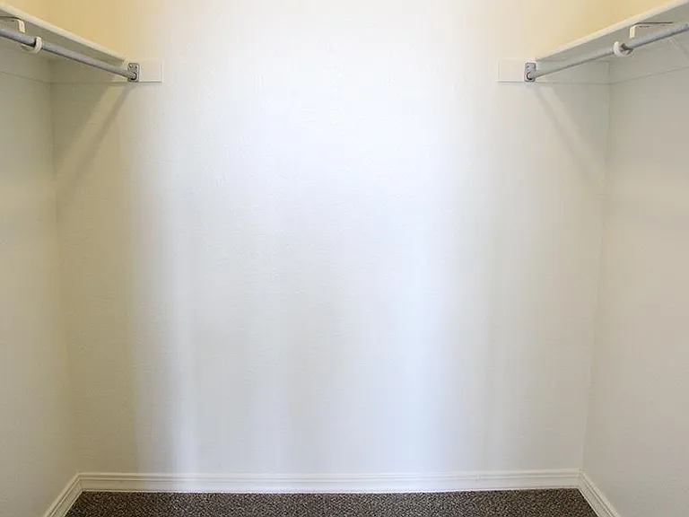 Spacious Closet #2