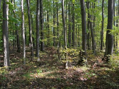 Tbd2 Deep Lake Rd, Sarona, WI, 54870