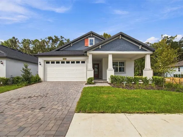 19461 FOREST GARDEN COURT, BROOKSVILLE, FL 34601