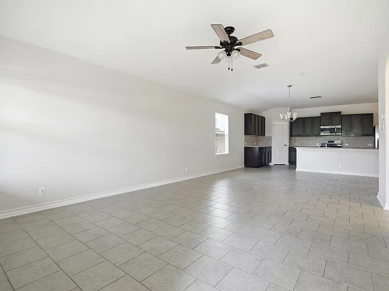 15441 Cooks Petrel — Photo 4