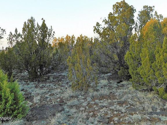 5th image of 1787 Queen Creek Pl