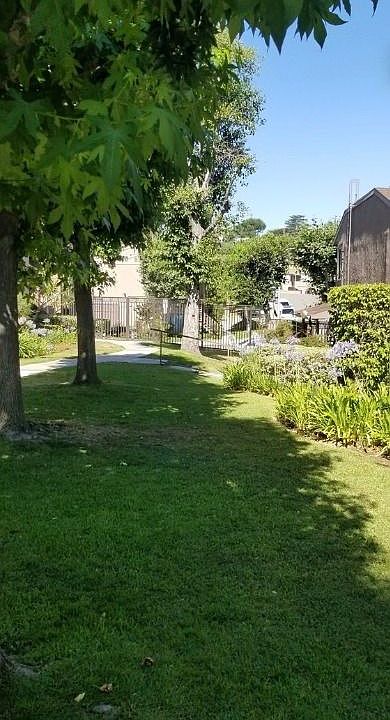 View from patio/stairs