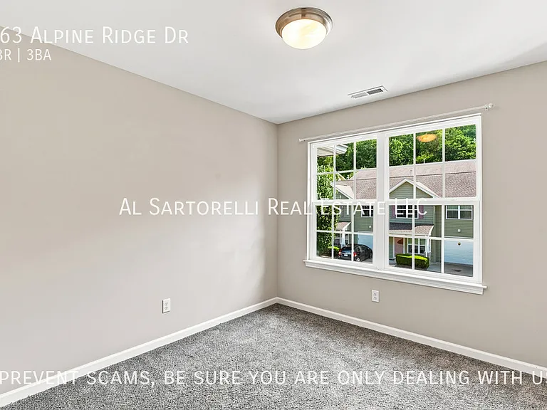 163 Alpine Ridge Dr — Photo 23