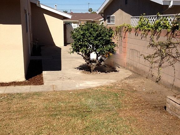 Side yard with fruit trees.