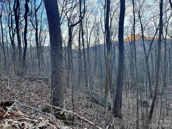 0 Bald Mountain Cres Unit 224, Lake Lure, NC 28746