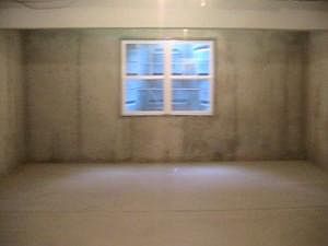 ImmelBasement_09242013