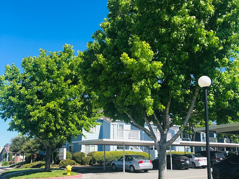 Mariner Village — Photo 11