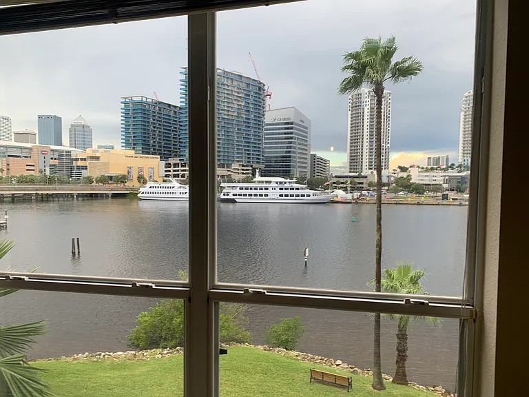 Window View_11222020