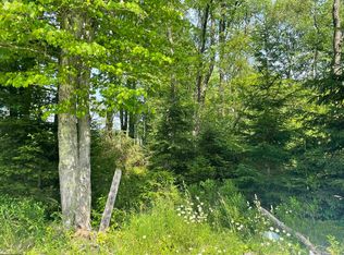 20 Hanlin Rd, Bruceton Mills, WV 26525