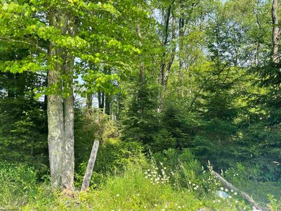 20 Hanlin Rd, Bruceton Mills, WV, 26525