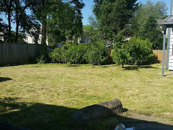 Fruit Trees, and green fence