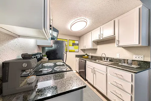 Alister Apartments at Town Lake Photo 1