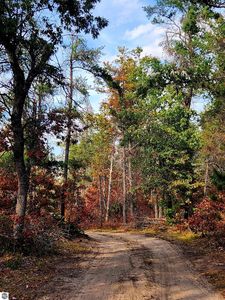 320 Garrison Dr, Mio, MI, 48647