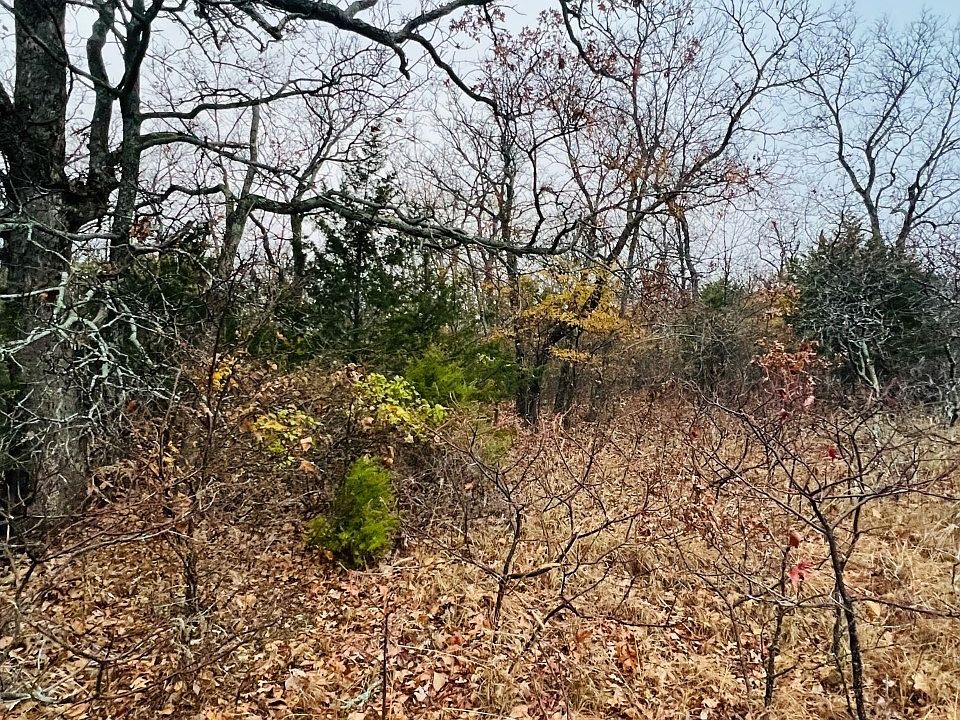 2nd image of 3 S 4545th Rd