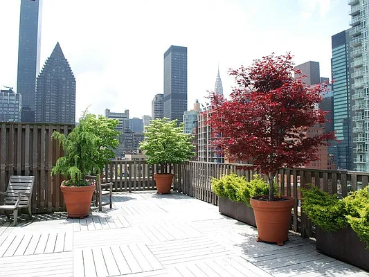 Sold by Sotheby's International Realty | media 19