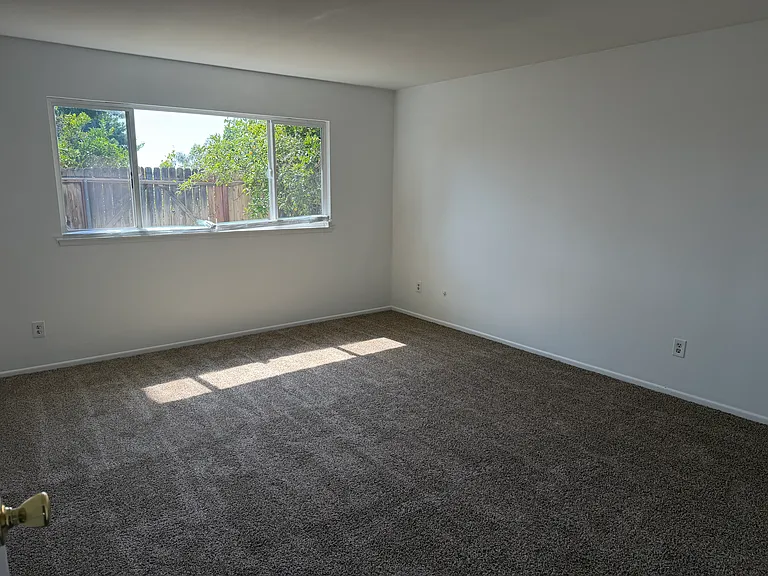 3385 Valencia Hill Dr — Photo 8