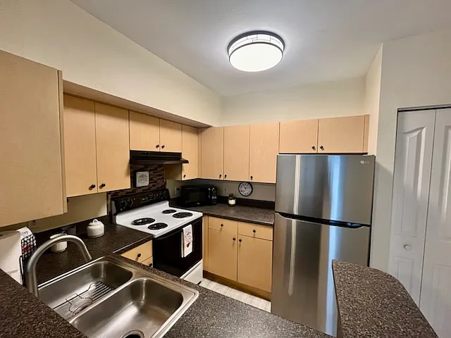 723 Siena Palm Dr — Photo 5