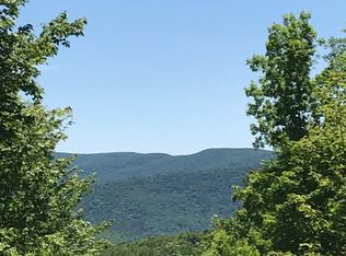 0 Shaver Hill Rd, Andes, NY 13731