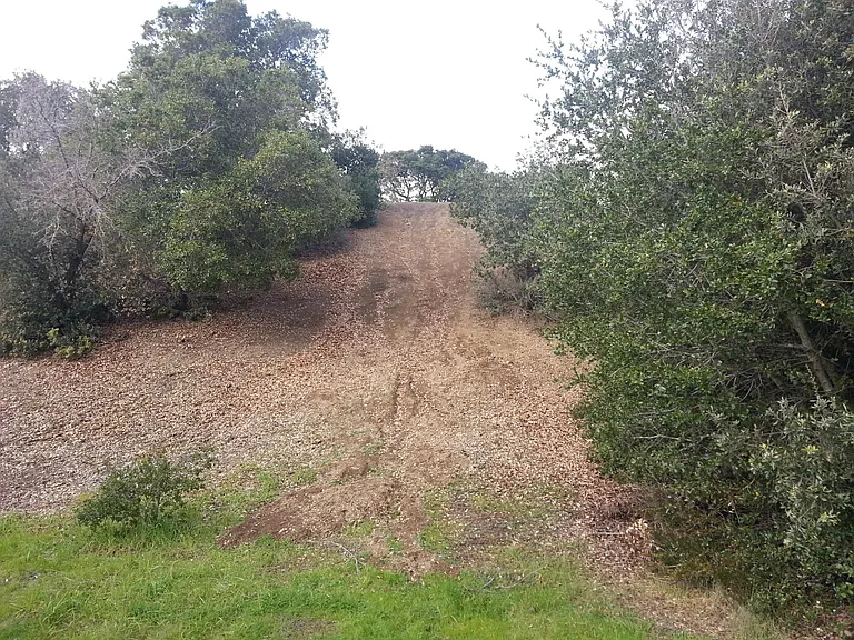 open space behind house