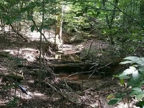 2703 Brookhaven Ln, Buford, GA 30518