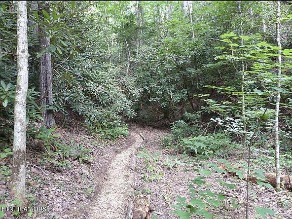 5th image of 0 Walnut Flats Rd