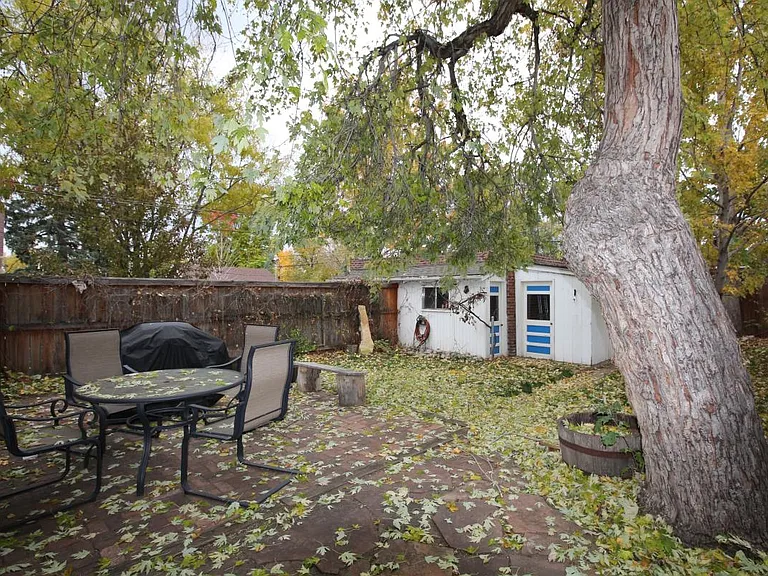 Backyard Autumn