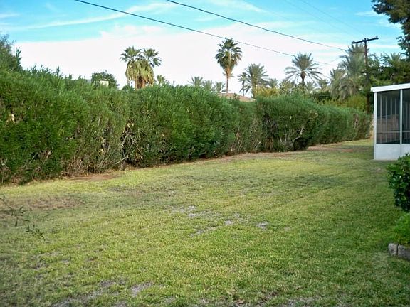 Large Back Yard