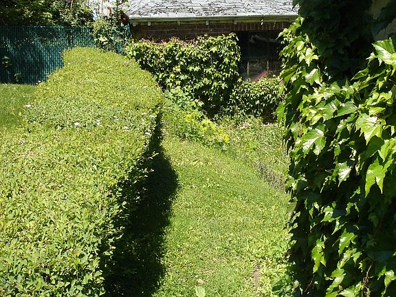 Garden Area Between Back and Side Yards