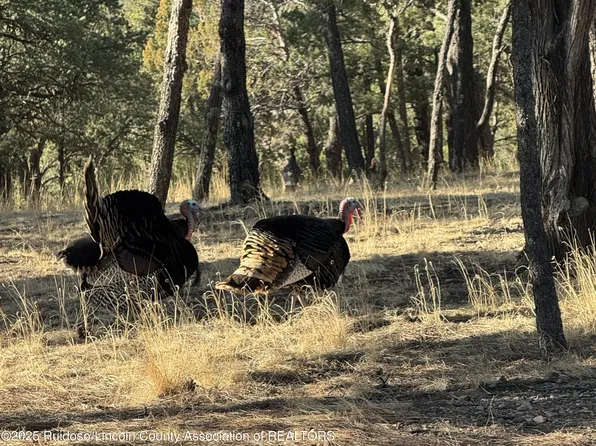 LOT 26 Cougar Ln #4, Alto, NM 88312