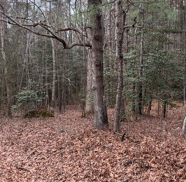 1st image of 0 S Crater Rd