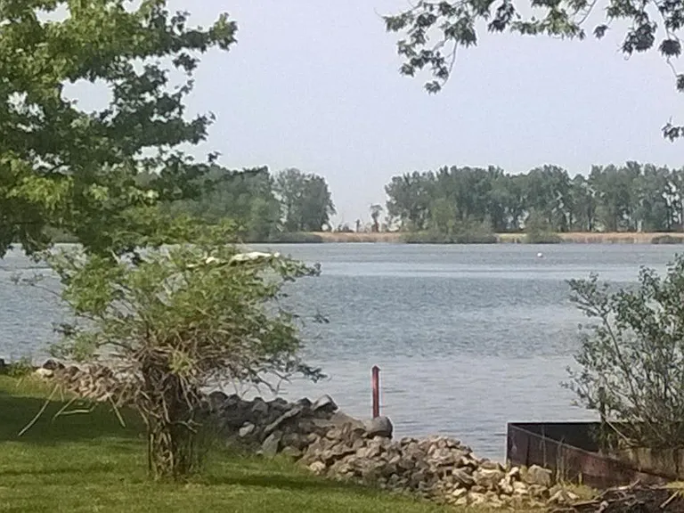 view from porch