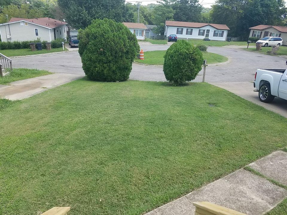 Front Yard