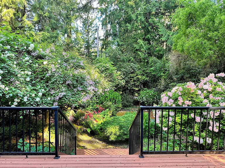 Front yard