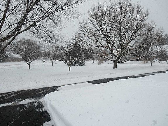 view from front-common area