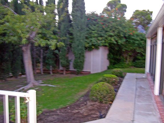 BACK YARD