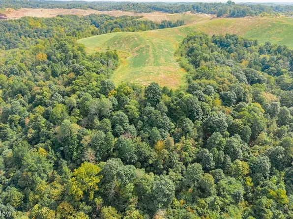 37500 Goose Run Rd #3, Dexter City, OH 45727